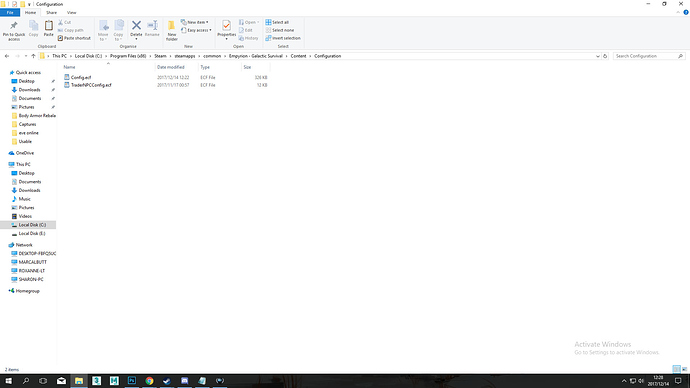 cant get the settings into single player